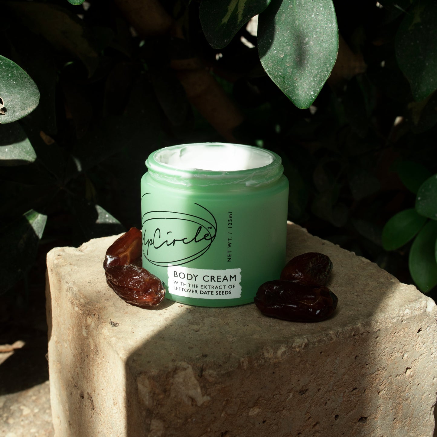 Body Cream met dadelzaden